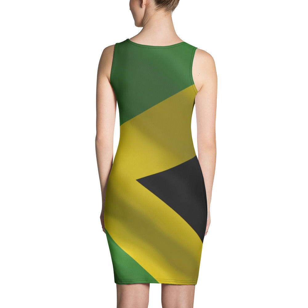 Vybz Fitted Dress