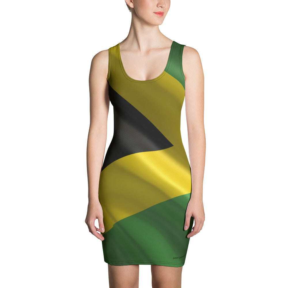 Vybz Fitted Dress