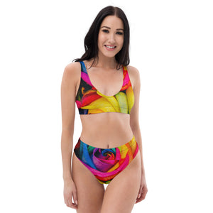 TD Rose High-Waisted Bikini